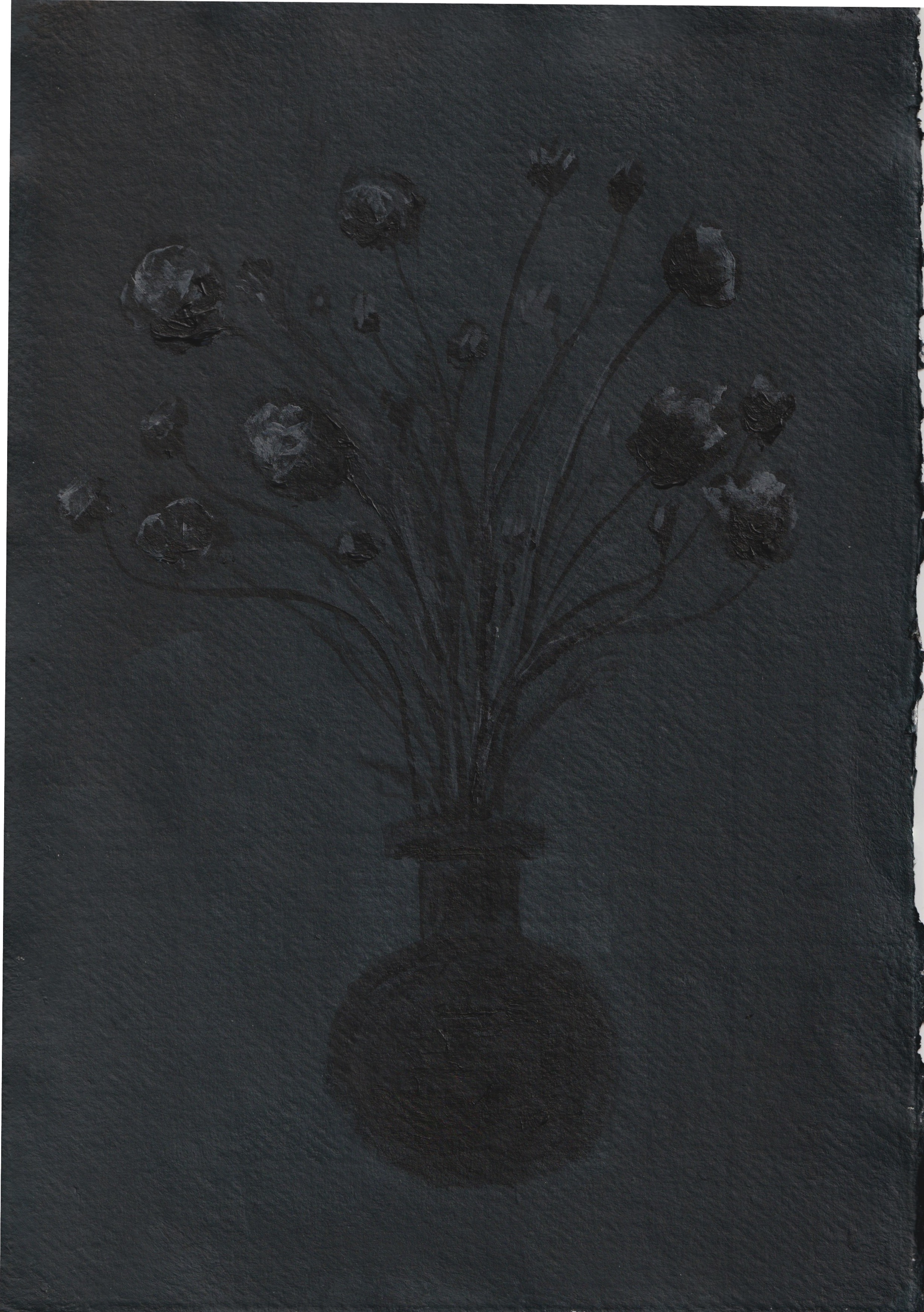 A dark botanical study showing silhouetted flowers and stems arranged in a vase against a black background.