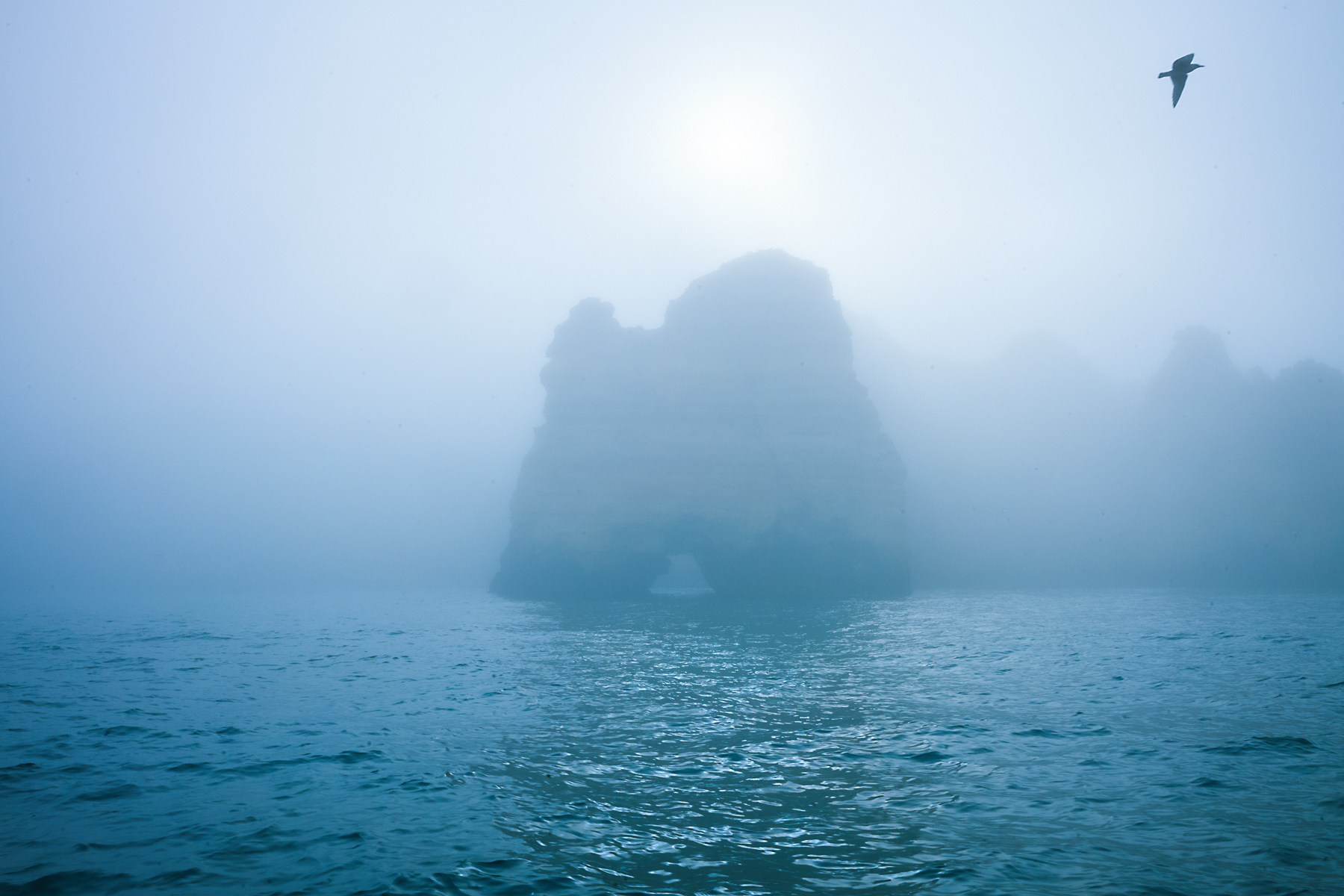 Foggy seascape showing a large rocky formation shrouded in mist in the Atlantic Ocean with a bird flying overhead.